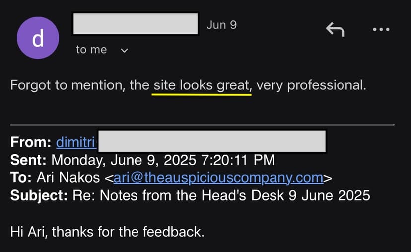 Dimitri of Setian.AI testimonial about professional website work